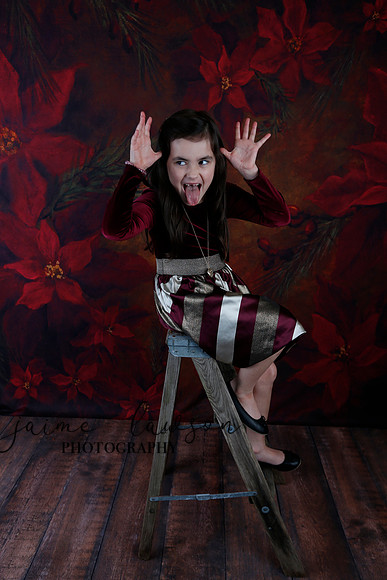 2020 Holiday Mini Session - Biland