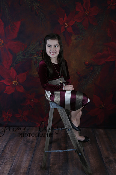 2020 Holiday Mini Session - Biland