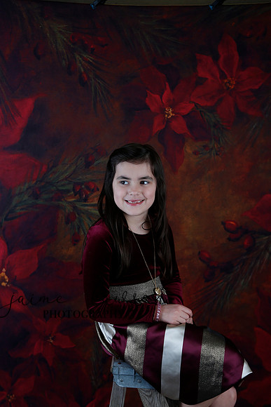 2020 Holiday Mini Session - Biland