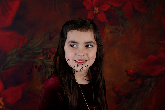 2020 Holiday Mini Session - Biland