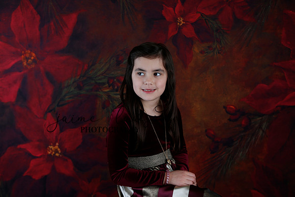 2020 Holiday Mini Session - Biland