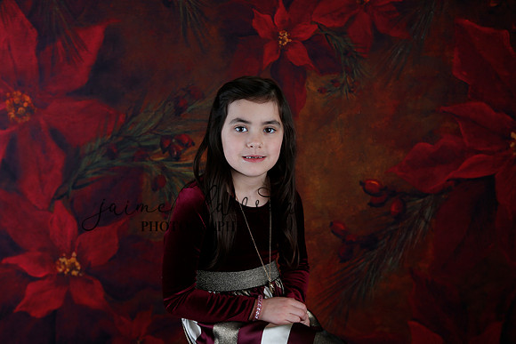 2020 Holiday Mini Session - Biland