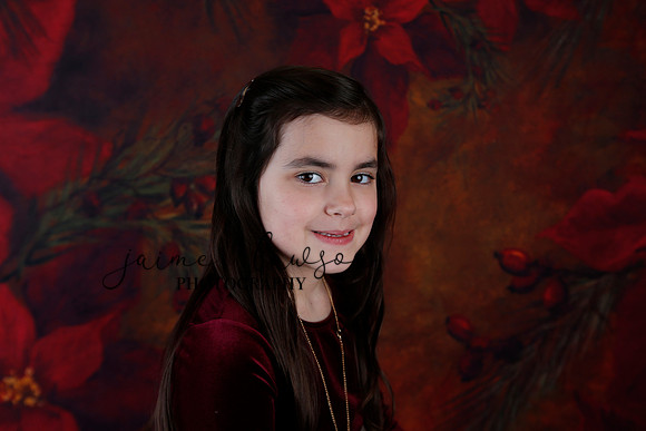 2020 Holiday Mini Session - Biland