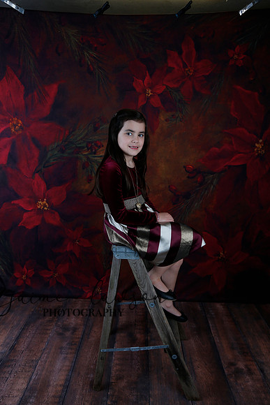 2020 Holiday Mini Session - Biland