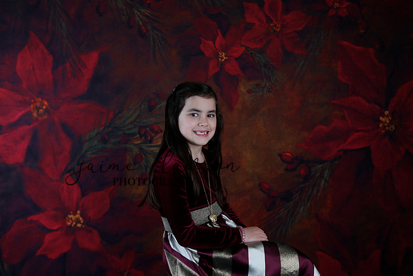 2020 Holiday Mini Session - Biland