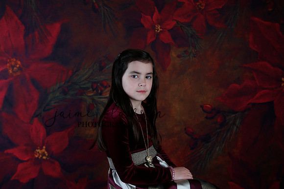 2020 Holiday Mini Session - Biland