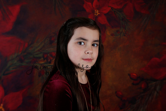2020 Holiday Mini Session - Biland