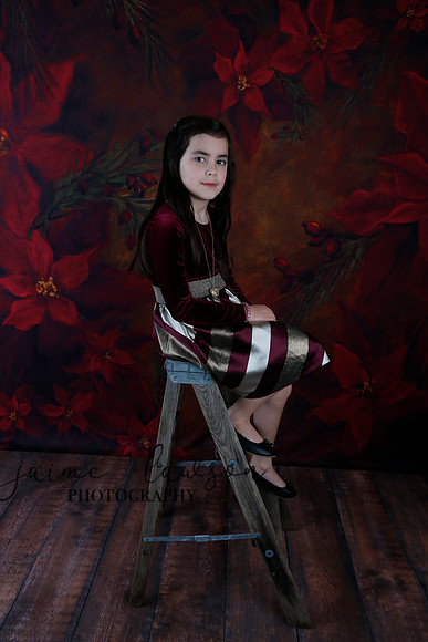 2020 Holiday Mini Session - Biland