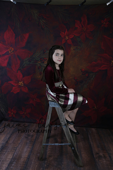 2020 Holiday Mini Session - Biland