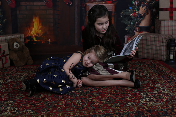 2020 Holiday Mini Session - Biland