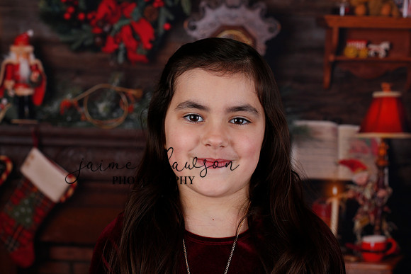 2020 Holiday Mini Session - Biland