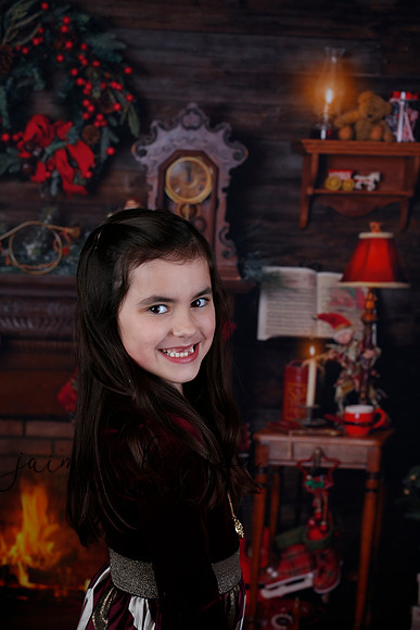 2020 Holiday Mini Session - Biland