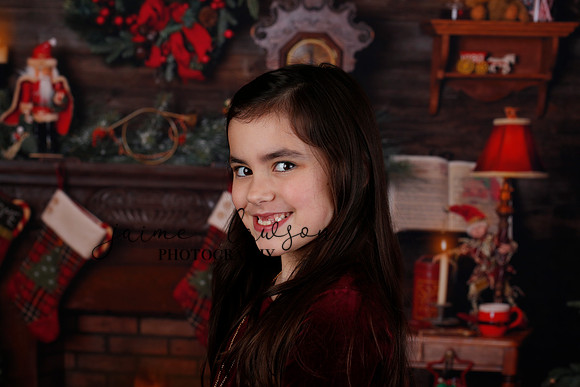2020 Holiday Mini Session - Biland