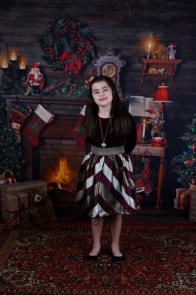 2020 Holiday Mini Session - Biland