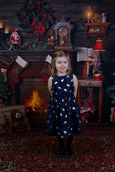 2020 Holiday Mini Session - Biland