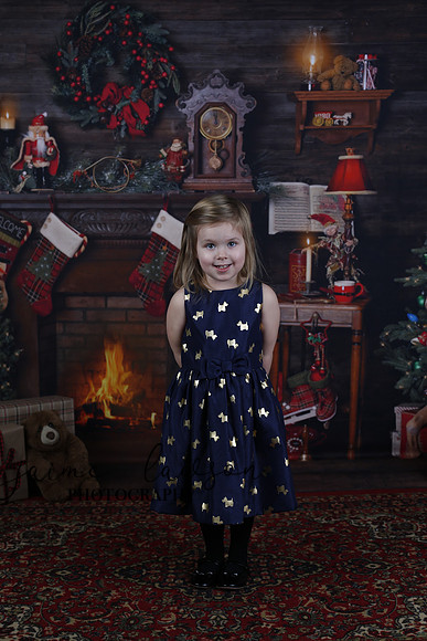 2020 Holiday Mini Session - Biland