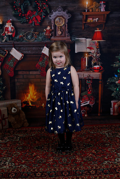 2020 Holiday Mini Session - Biland