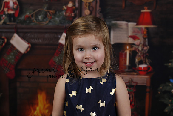 2020 Holiday Mini Session - Biland