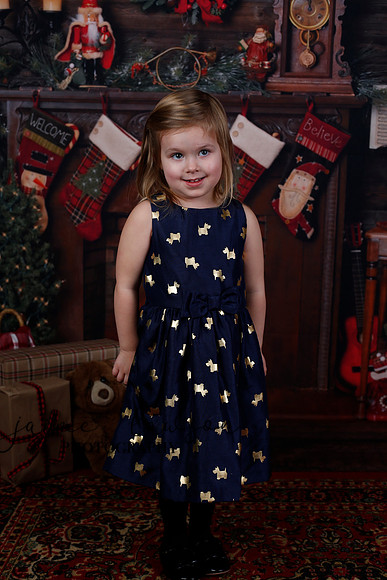 2020 Holiday Mini Session - Biland