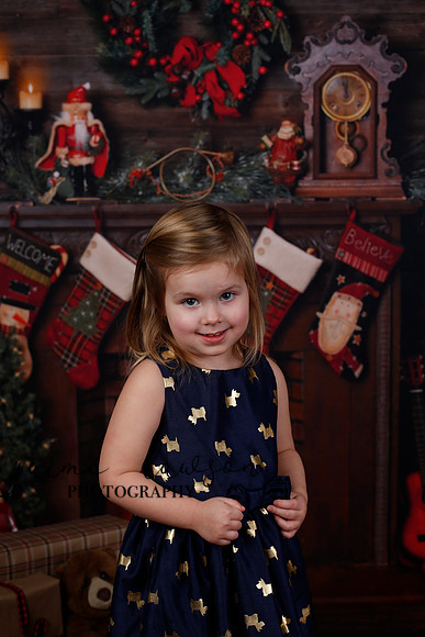 2020 Holiday Mini Session - Biland