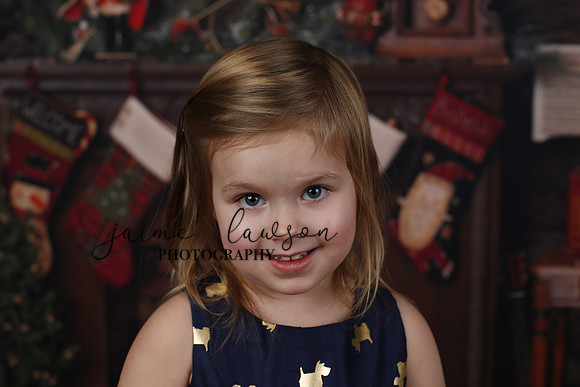 2020 Holiday Mini Session - Biland