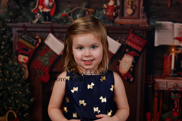 2020 Holiday Mini Session - Biland