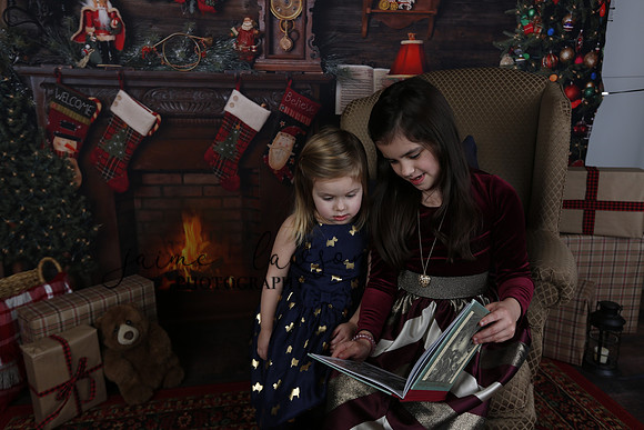 2020 Holiday Mini Session - Biland