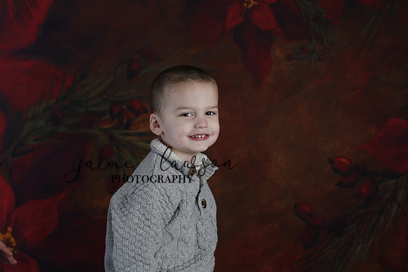 2020 Holiday Mini Session - DeNoia