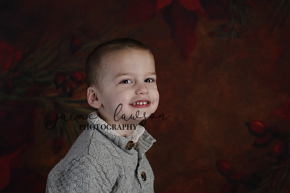 2020 Holiday Mini Session - DeNoia
