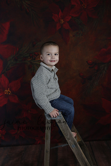 2020 Holiday Mini Session - DeNoia
