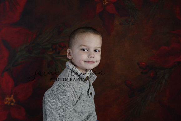 2020 Holiday Mini Session - DeNoia