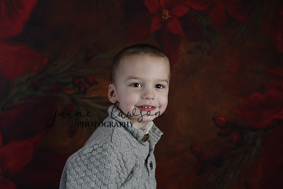 2020 Holiday Mini Session - DeNoia