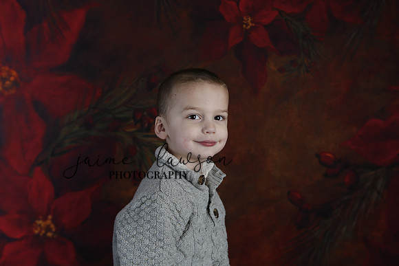 2020 Holiday Mini Session - DeNoia