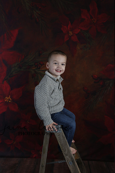 2020 Holiday Mini Session - DeNoia