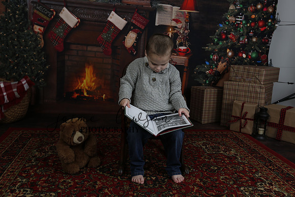 2020 Holiday Mini Session - DeNoia