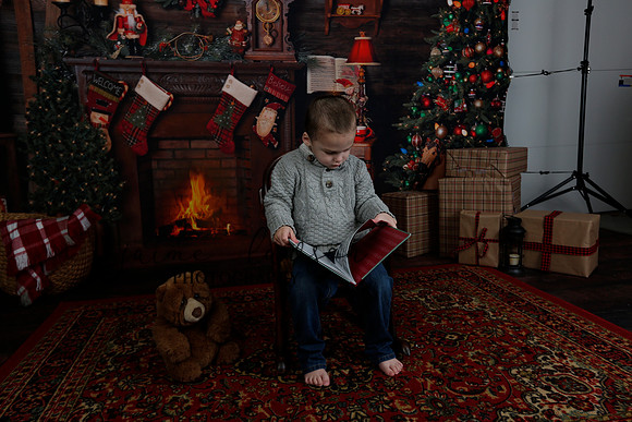 2020 Holiday Mini Session - DeNoia