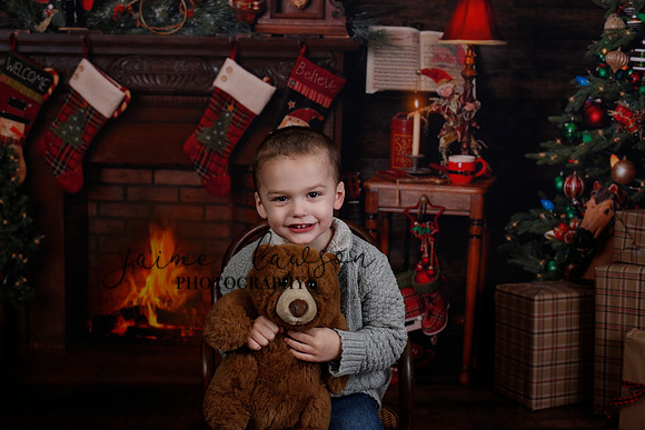 2020 Holiday Mini Session - DeNoia