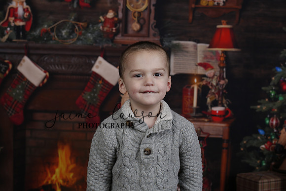 2020 Holiday Mini Session - DeNoia