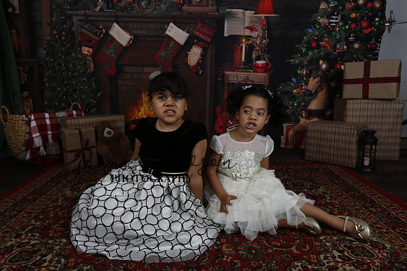 2020 Holiday Mini Session - Leibnitz
