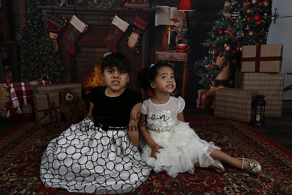 2020 Holiday Mini Session - Leibnitz