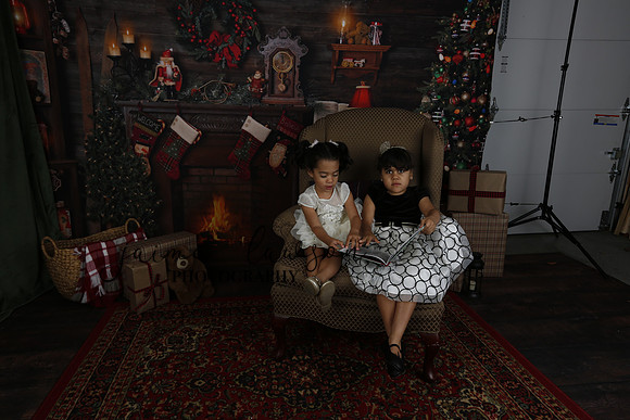 2020 Holiday Mini Session - Leibnitz