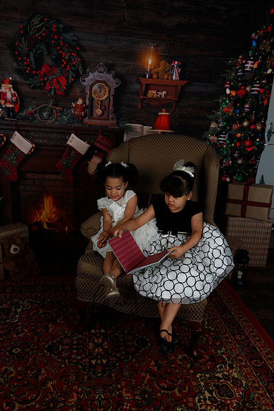 2020 Holiday Mini Session - Leibnitz