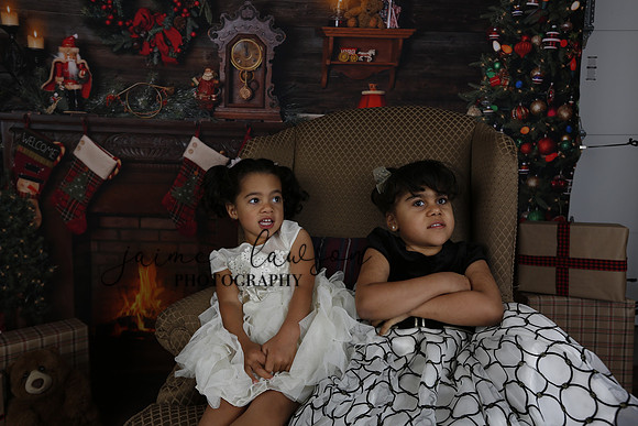 2020 Holiday Mini Session - Leibnitz