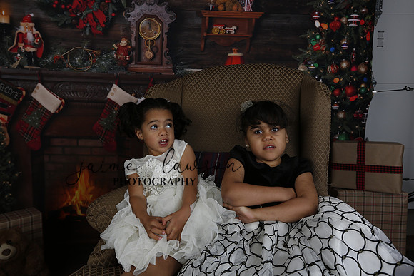 2020 Holiday Mini Session - Leibnitz