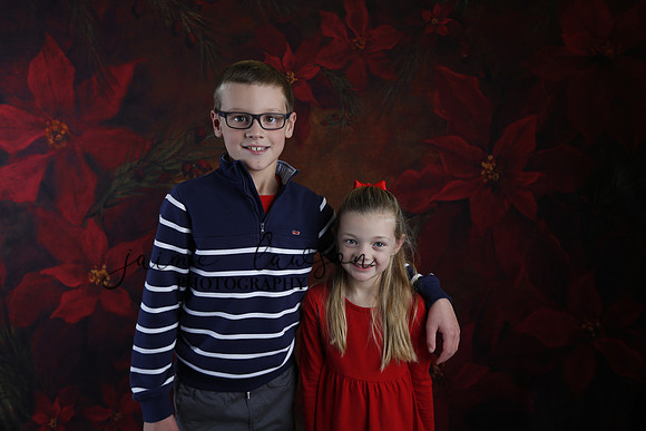 2020 Holiday Mini Session - Johnson