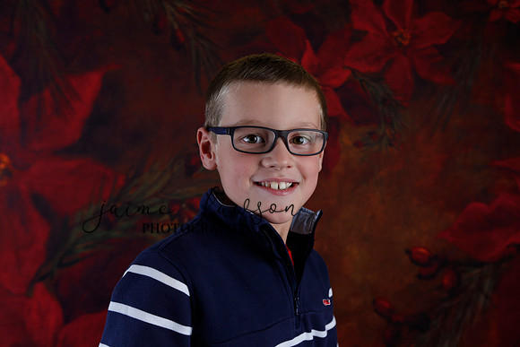 2020 Holiday Mini Session - Johnson