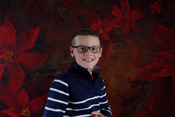 2020 Holiday Mini Session - Johnson