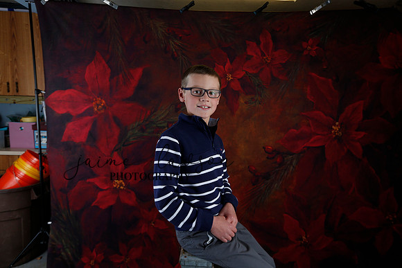 2020 Holiday Mini Session - Johnson