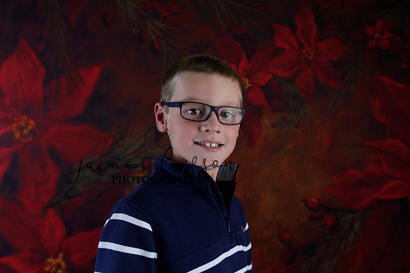 2020 Holiday Mini Session - Johnson