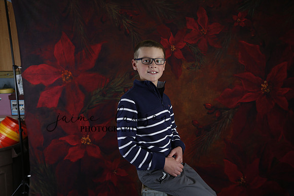2020 Holiday Mini Session - Johnson